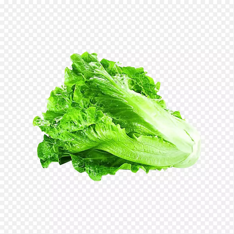 生菜png图片蔬菜剪贴画设计元素