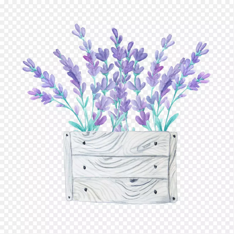 花卉图像插画花卉设计.阿尔法泽马装饰