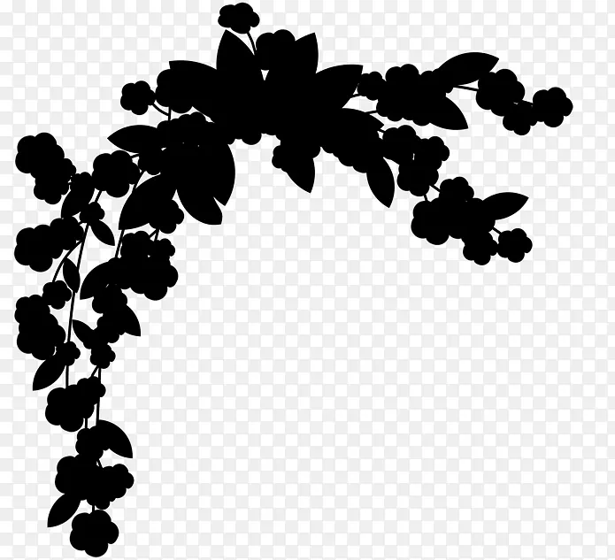 字形线叶图案开花植物