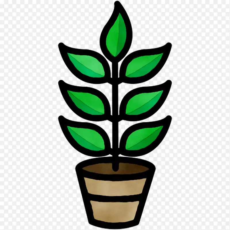 叶植物茎插花艺术树