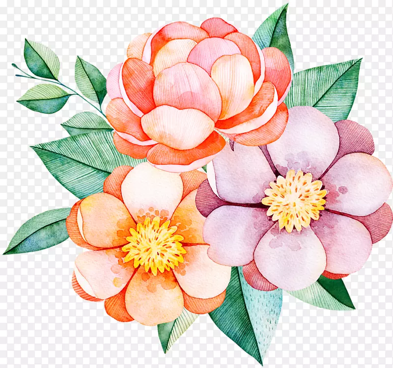 花卉花束设计牡丹水彩画-花