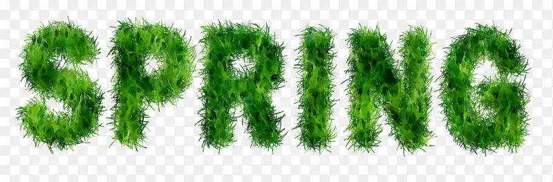 绿色字体线生物群落草