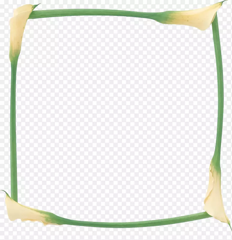 摄影绿色图像插图白色-马蹄莲边框