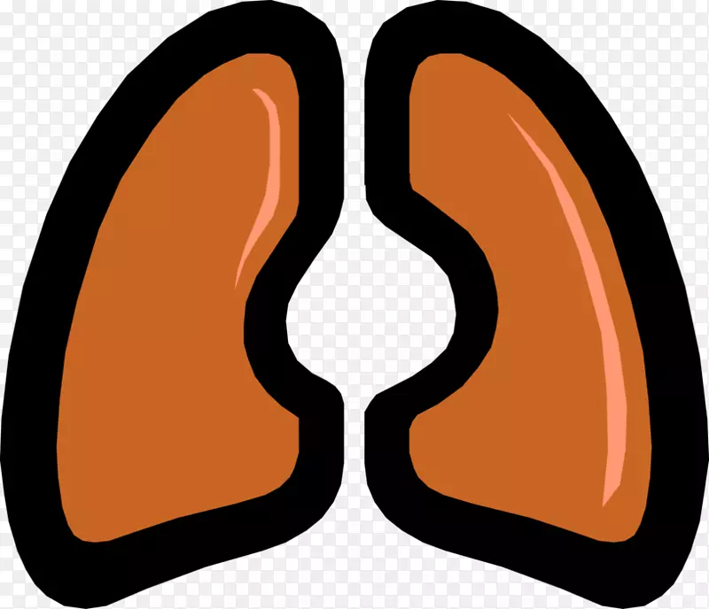肺慢性阻塞性肺疾病呼吸系统肺纤维化-特发性载体