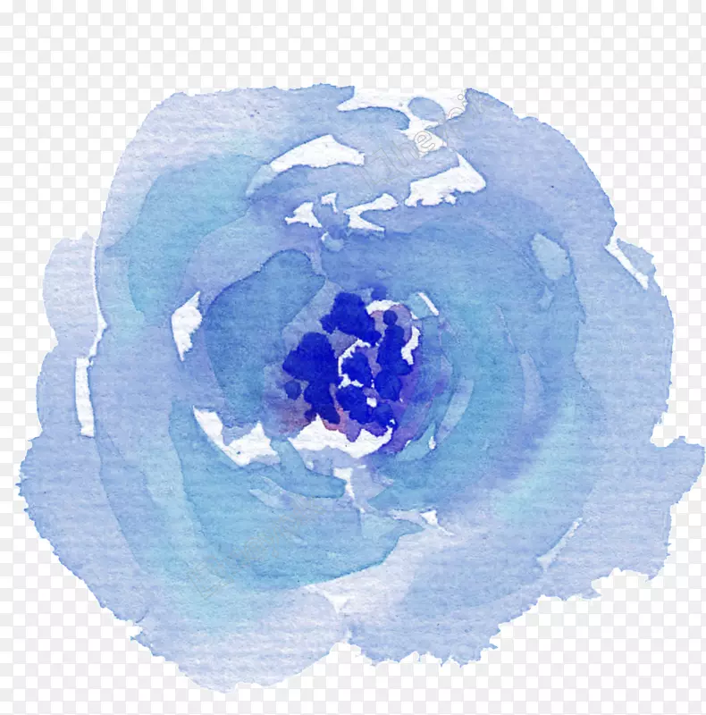 蓝玫瑰png图片水彩画：花画