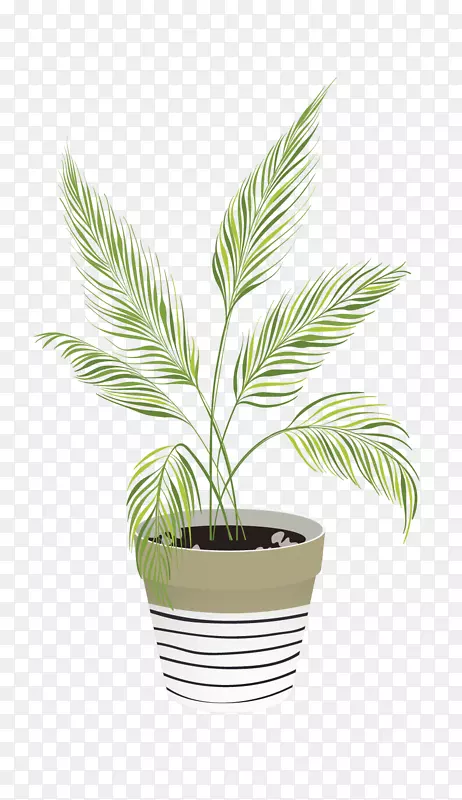 棕榈树室内植物画图像插图-绘画
