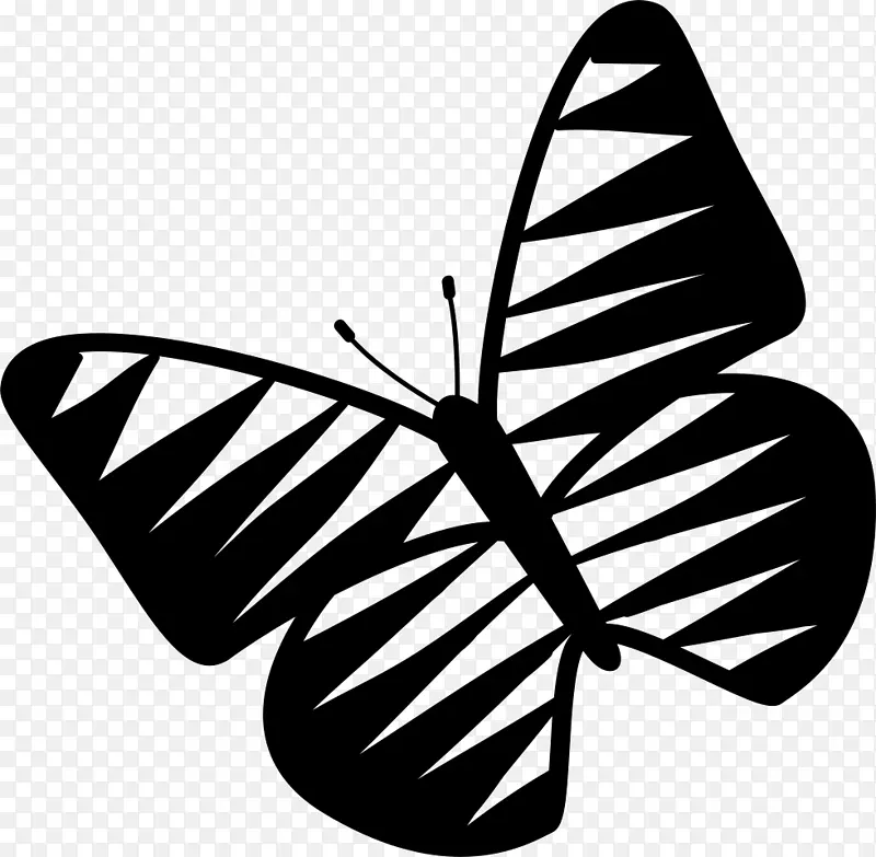 蝴蝶昆虫图形电脑图标下载-蝴蝶