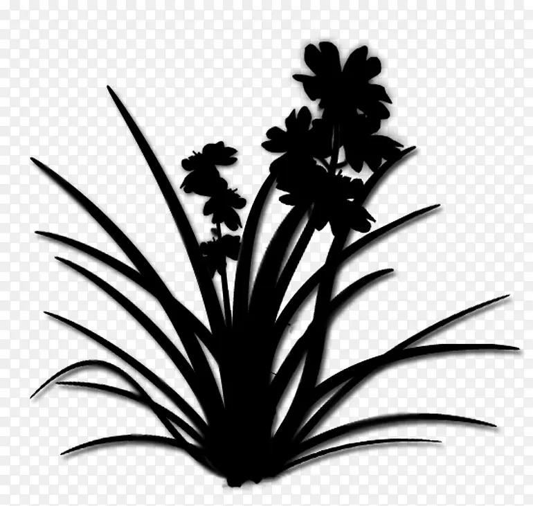 棕榈树剪影花叶