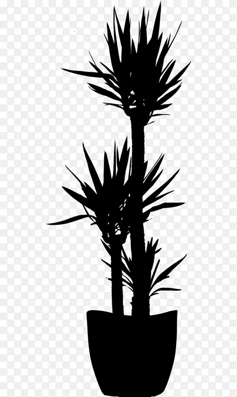 棕榈树，花，植物，茎，剪影植物