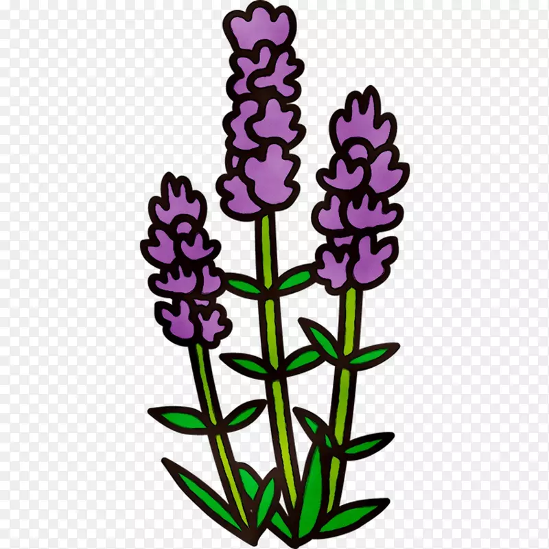 英国薰衣草植物茎切花紫剪艺术