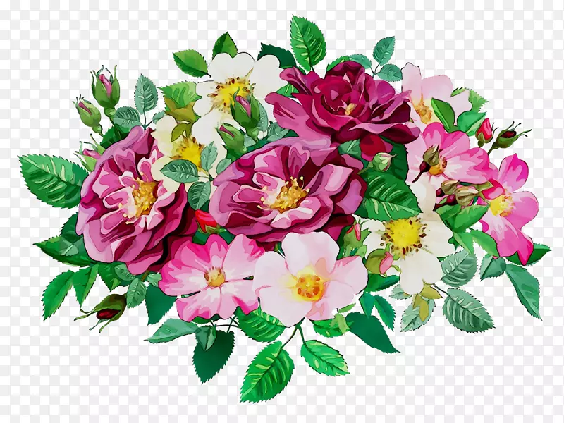 卷心菜玫瑰意象花园玫瑰日花卉设计