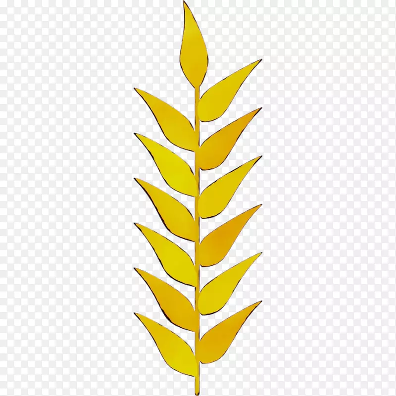 叶植物茎商品线字体