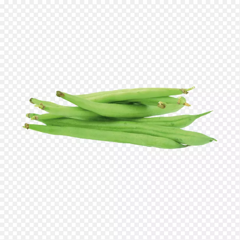 绿豆植物茎商品葱类植物