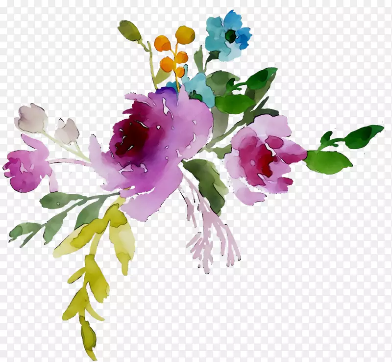 花卉设计，切花，花束，牡丹
