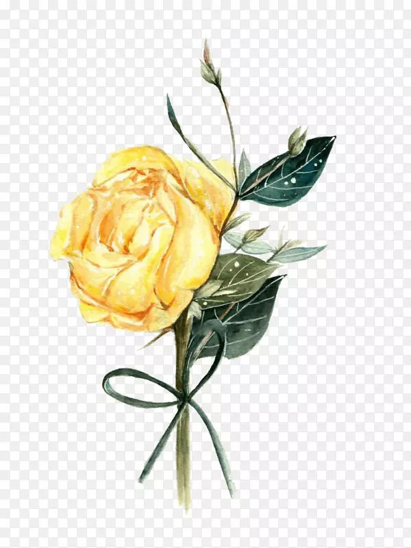 花园玫瑰花设计花卉png图片