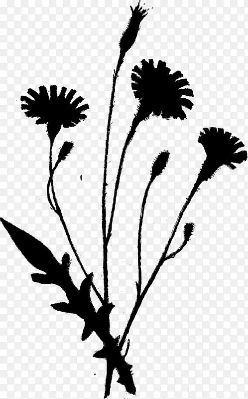 剪枝艺术植物茎叶轮廓