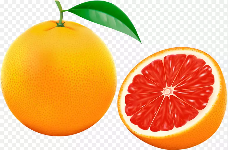 葡萄柚橙色图形插图.瓦吉拉图形