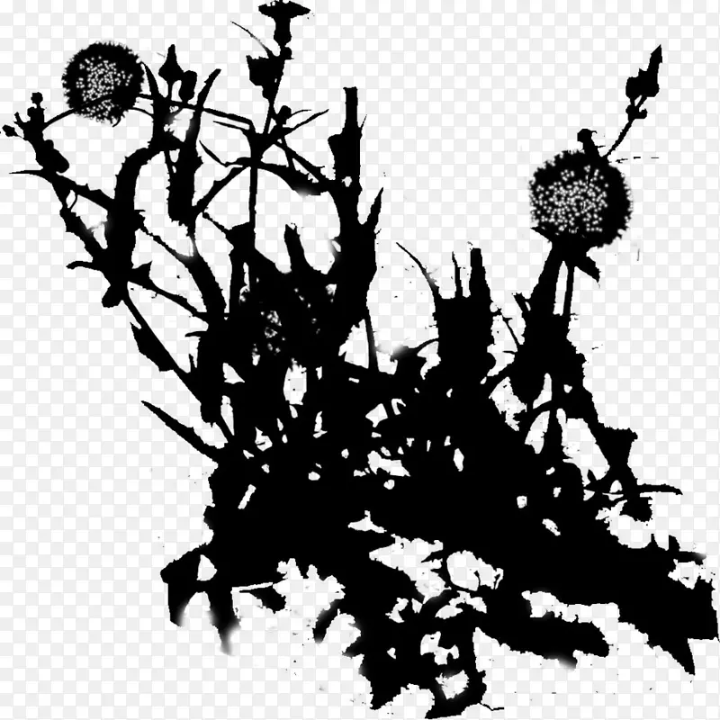 开花植物的字体剪影叶