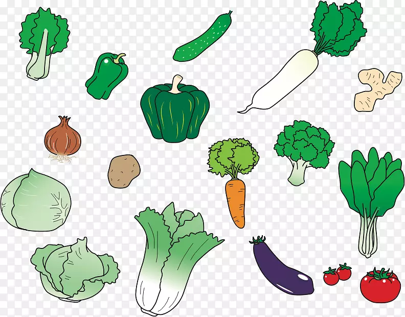 蔬菜食品，茄子，胡萝卜.植物图形
