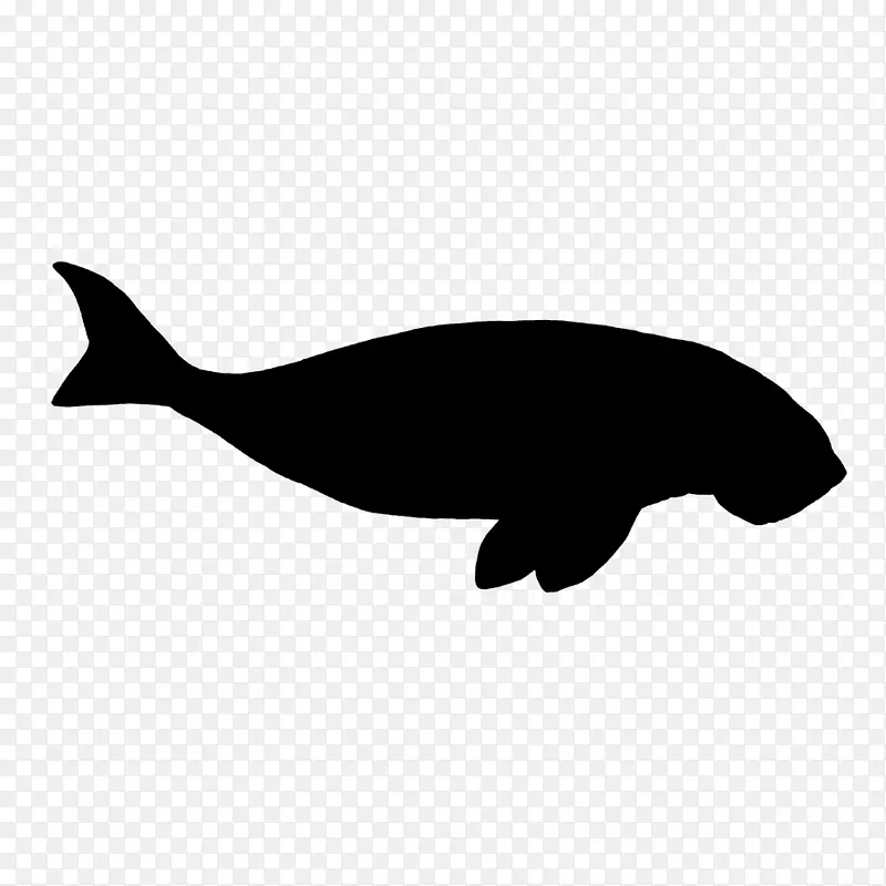 海豚鲸鱼剪贴画