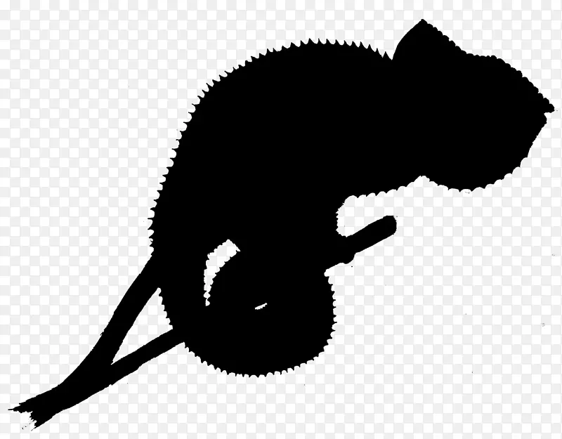 猫剪艺术剪影动物尾巴