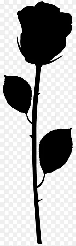 剪纸艺术植物茎轮廓开花植物