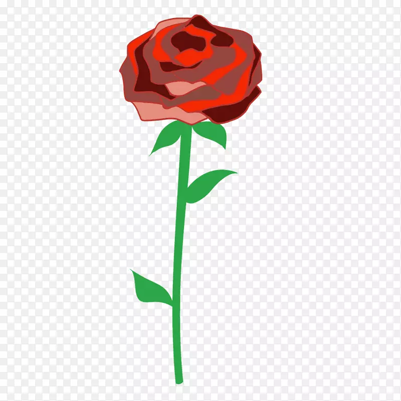 花园玫瑰花卉设计插图切花玫瑰
