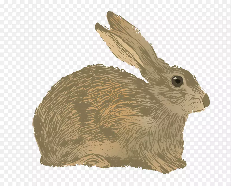 国内兔图形插图-兔子