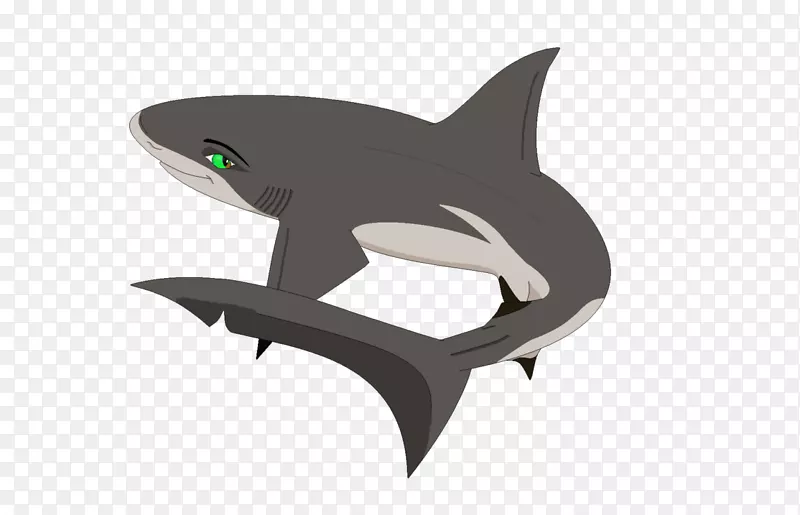 虎鲨安神鲨鱼产品设计-幼鲨电子商务
