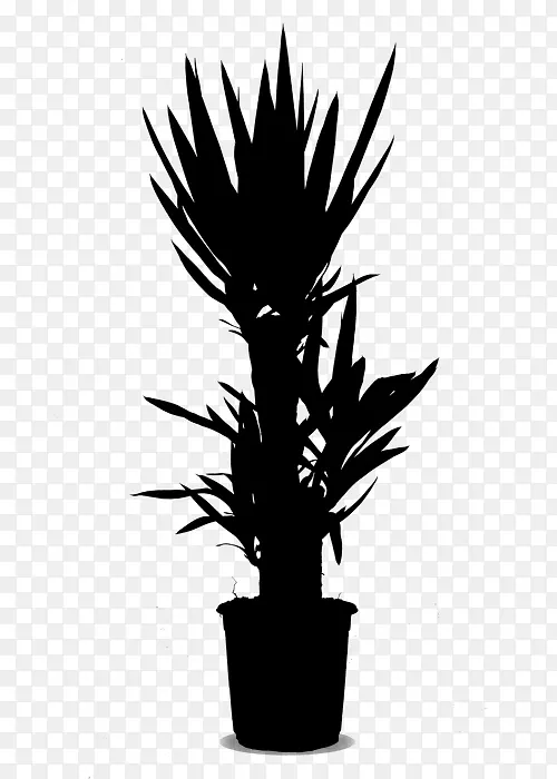 棕榈树花盆植物茎