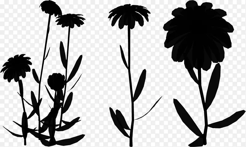 叶植物茎轮廓字体图案