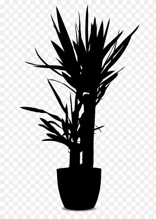 棕榈树，花，植物，草，剪影