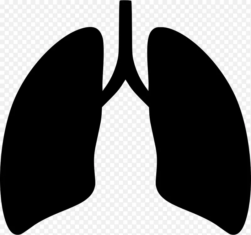 电脑图标图形剪辑艺术呼吸肺呼吸图标