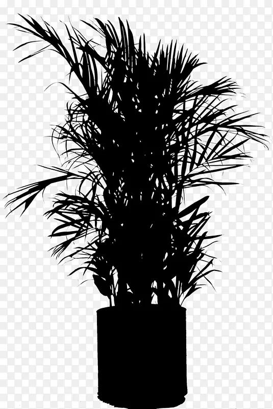 亚洲棕榈花盆栽植物剪影植物茎