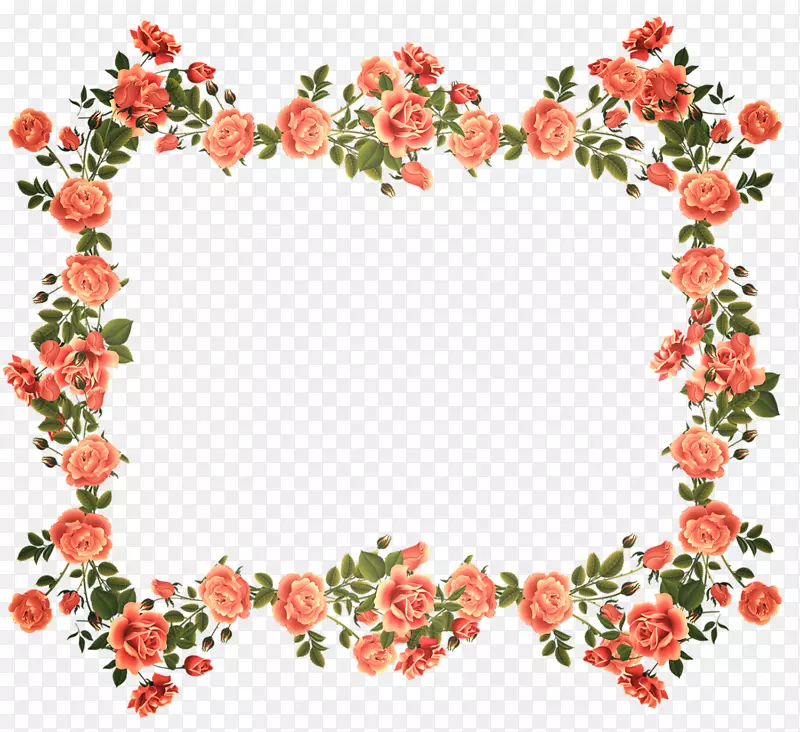 边框和相框玫瑰花花卉设计.玫瑰
