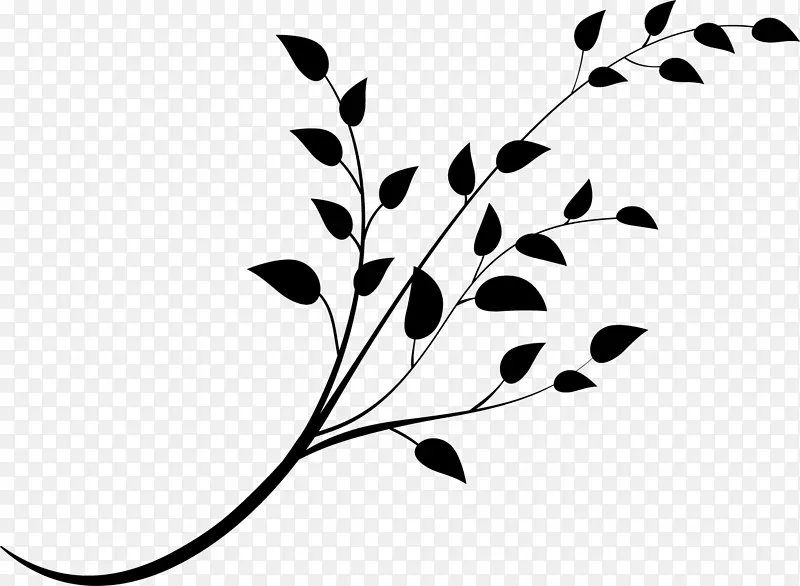 叶型植物茎桌面壁纸