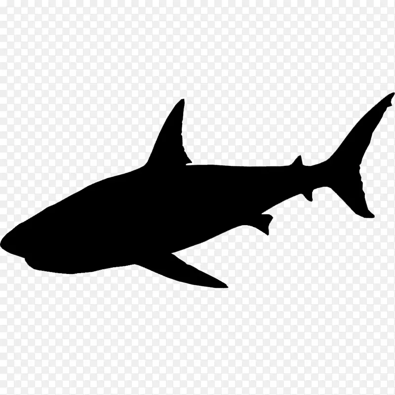 安奎姆鲨鱼剪贴画动物轮廓