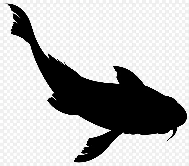 海豚剪贴画动物轮廓喙