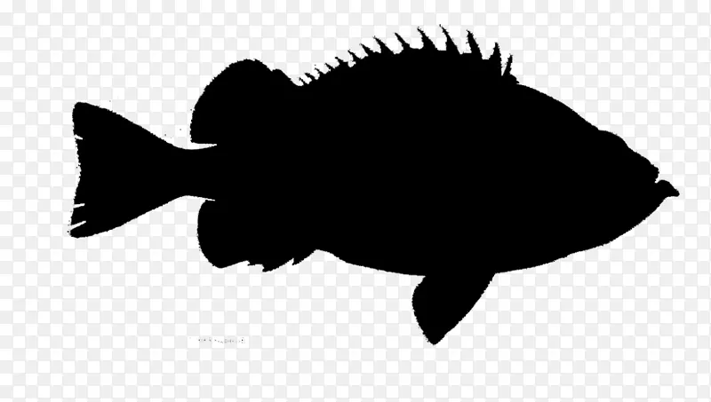 动物轮廓字体鱼黑色m