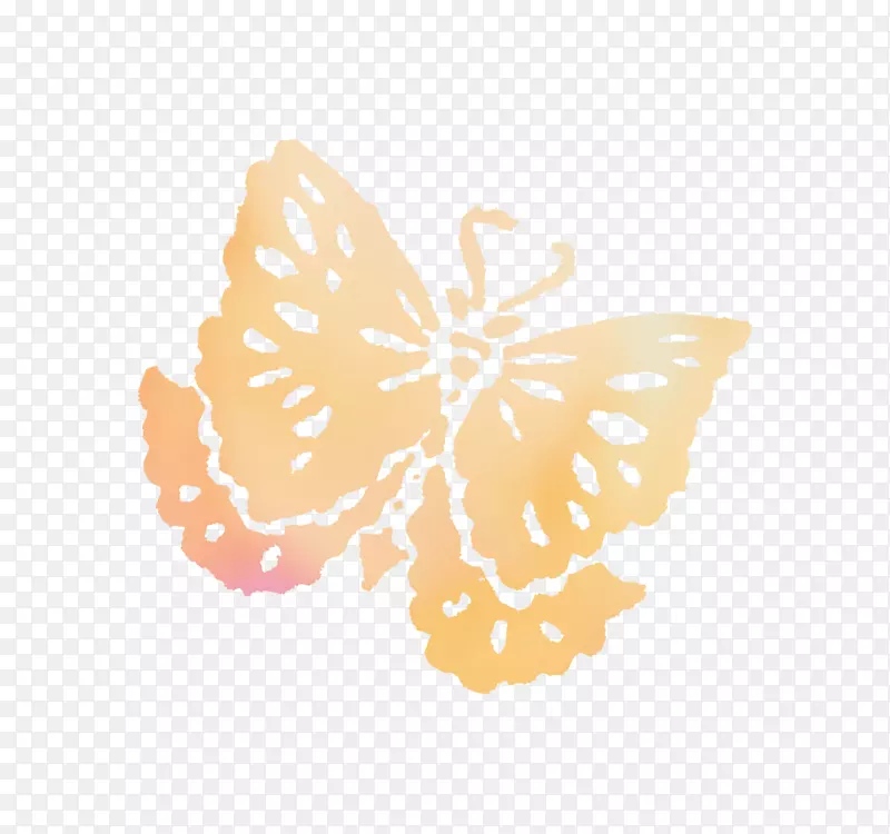帝王蝴蝶，毛茸茸的蝴蝶，橙色的蝴蝶。虎乳蝶
