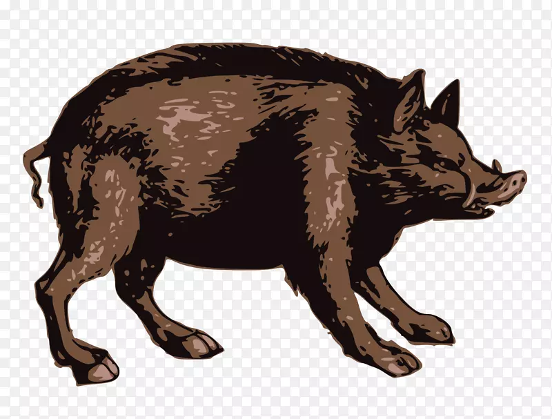 野猪png图片图像剪辑艺术插图.野猪邮票