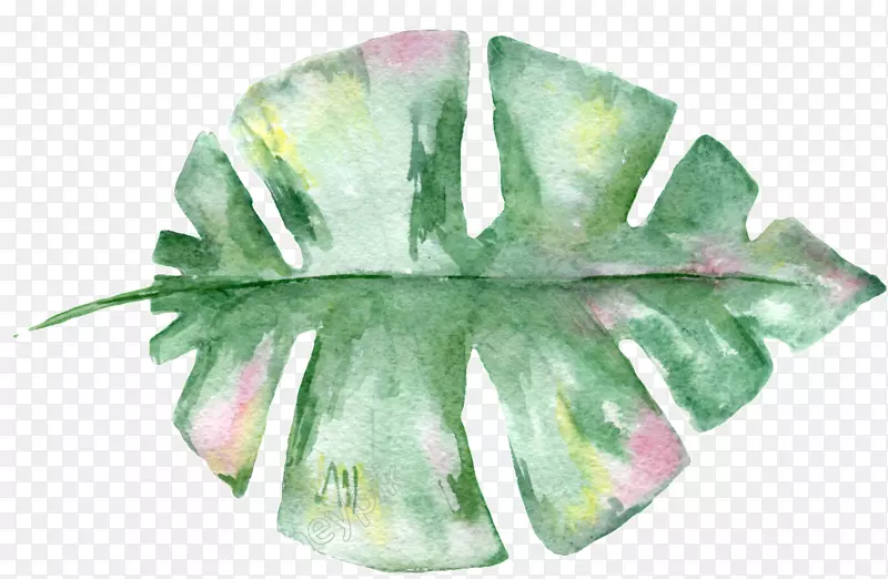 水彩画：花卉水彩画形象艺术
