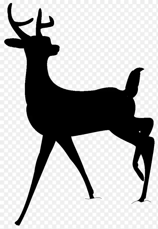 白尾鹿法琳斑比驯鹿