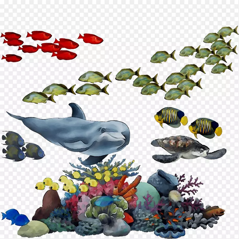 鱼插图产品动物群字体