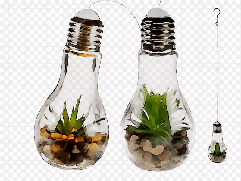 玻璃瓶，盐和胡椒奶瓶，植物