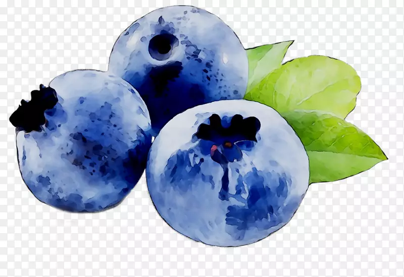 蓝莓果实Actimel