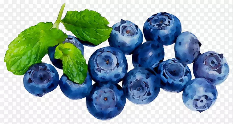 蓝莓茶欧洲蓝莓超级食品