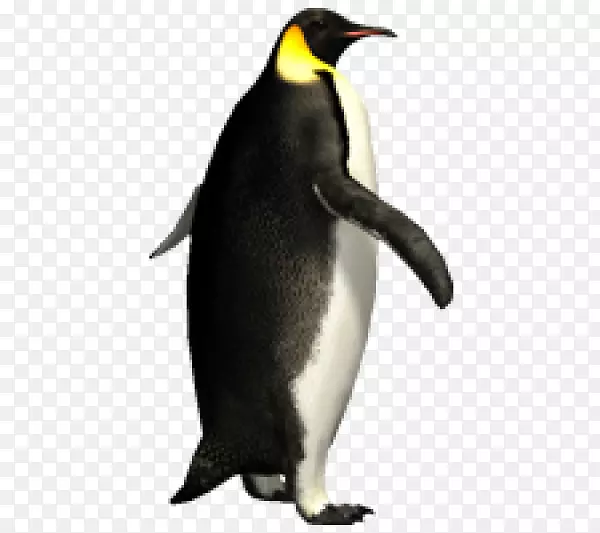 帝企鹅png图片图像剪辑艺术企鹅