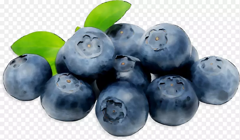蓝莓越橘超级食品