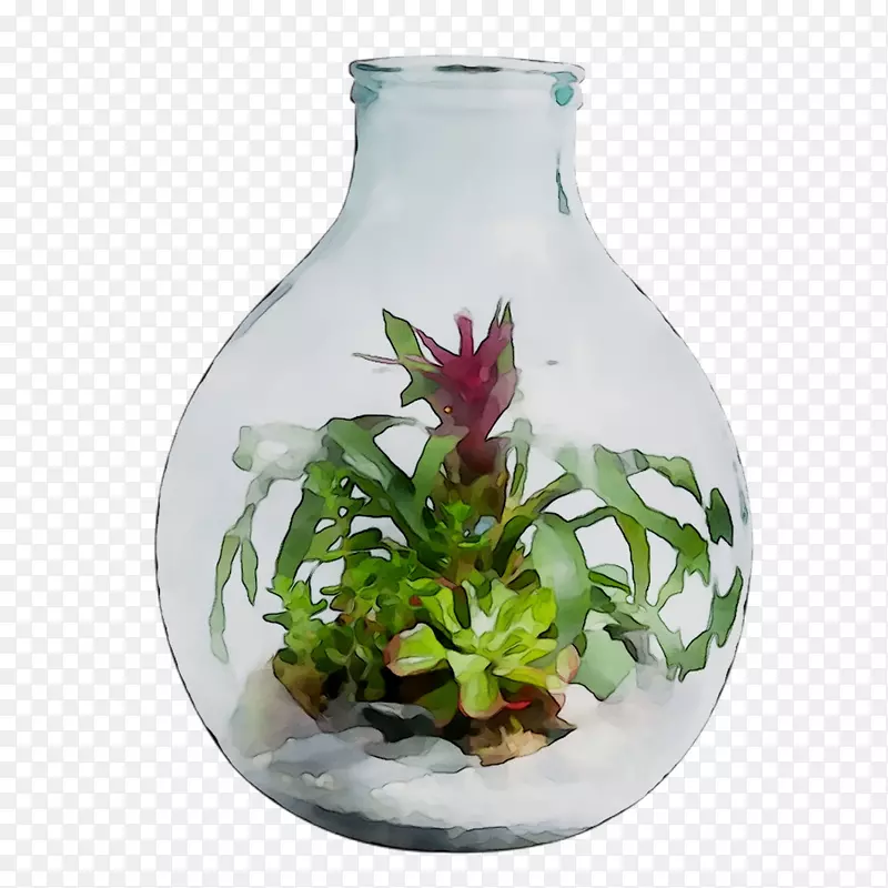 花瓶植物玻璃牢不可破